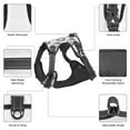 thumbnail image 6 of Fuzoiu Poodle Dog Print Reflective Dog Harness,Adjustable, Breathable Pet Vest,Dog Harness No Pull,No Choke Pet Vest for Small, Medium, and Large Dogs-Medium, 6 of 6