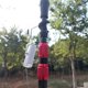 thumbnail image 3 of Postes colgantes de luz para acampar, soporte de lámpara portátil, gancho, soporte de luz plegable, 3 of 5