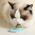 thumbnail image 4 of kusrkot 2 Pcs Jouets Balle à l'Herbe à Chat Jouet Interactif Auto-Adhésif à Mâcher, 4 of 8
