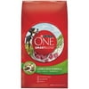 Purina ONE Natural SmartBlend Lamb & Rice Formula Dry Dog Food, (Pack of 2)