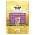 Nature’s Recipe Original Dry Dog Food for Adult Dogs, Lamb & Rice