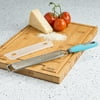 Tasty Stainless Steel Handheld Zester Grater with Blade Guard, Tasty Blue