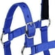 thumbnail image 3 of Cabestro de caballo ecuestre de nailon ajustable para caballo de 130-165 cm negro/azul/rojo Sharpla Cabestro de caballo ajustable, 3 of 7
