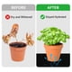 thumbnail image 2 of Bewildely Almohadilla de siembra, herramienta de jardinería, sembradora de verduras, tamaño compacto, ahorro de espacio automático, trabajo, ahorro de Jardín y Patio Bewildely HA084297-00, 2 of 6