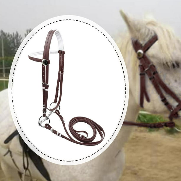Brida de caballo con rienda de acero inoxidable, bocado de anilla, arnés ecuestre, cabestro de cuerda para montar a caballo, para clásica de club marrón 125 cm
