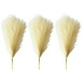 thumbnail image 6 of 3Pcs/Bag Faux Pampas Grass Large, Fake Artificial Pampas Grass Decor Tall Fluffy Stems, Floor Vase Filler for Living Room, Minimalist Decor or Boho Decor, 6 of 8