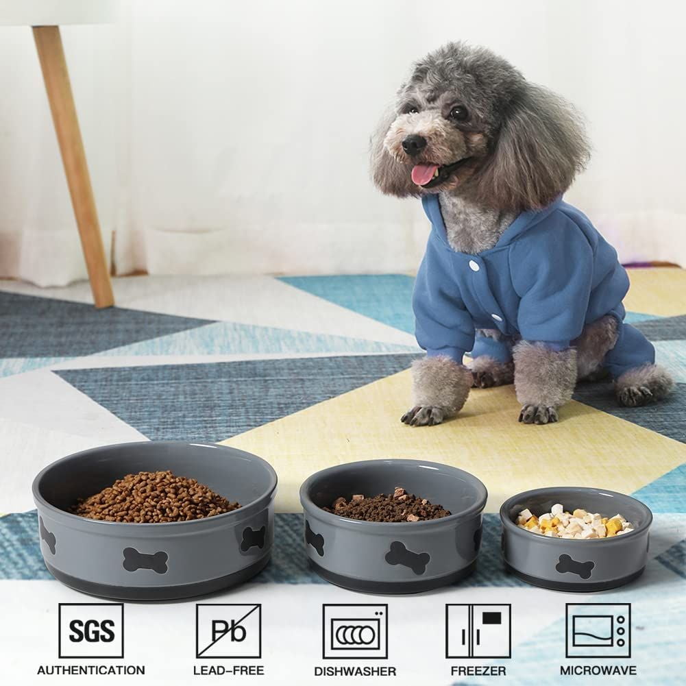 Dog dishes hotsell for small dogs