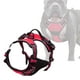 thumbnail image 5 of Chaleco arnés transpirable para perros ajustable ligero reflectante cómodo para M rojo, 5 of 7