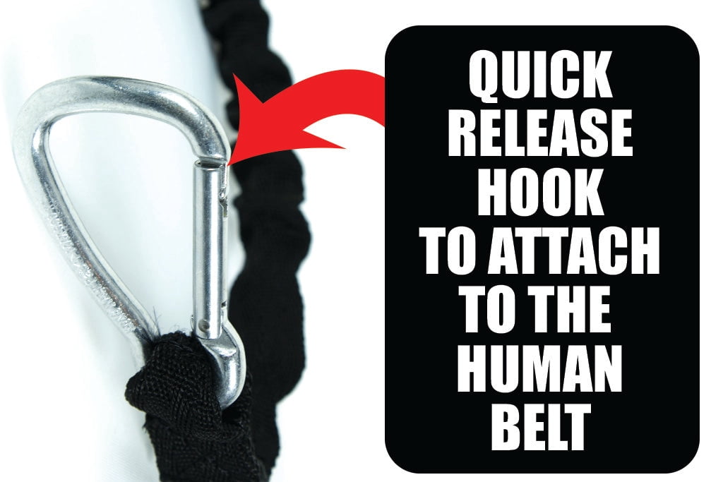 Tug Line With Bungee Leash