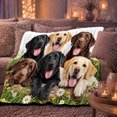thumbnail image 6 of Cheerful Labrador Retriever Family Garden Playful Lifelike, Playful Pet Portrait Pattern, Warm Flannel Blanket for Living Room and Bedroom, Dog Moms person's Day Gift, Pet Lover Home Decor, 6 of 9