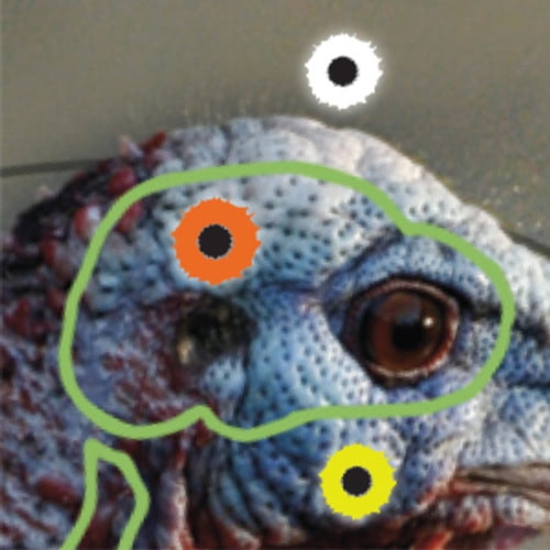 Birchwood Casey Reactive Turkey Shooting & Archery Target