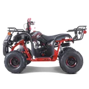 TaoTao D125 125cc Fully Automatic Mid Utility ATV