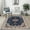 Blue, variant on HuiMart 5'x7' Area Rugs for Living Room, Non Slip Machine Washable Vintage Indoor Rug