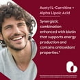 thumbnail image 4 of Acetyl L-Carnitine 500mg & Alpha Lipoic Acid 200mg per Capsule with Biotin (120 Vegetarian Capsules) - No Stearates - Vegan - Non GMO - Gluten Free, 4 of 7