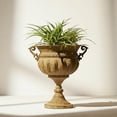 thumbnail image 6 of WORTH 18.5" H. Metal Urn Planters - Bronze Classic Antique Iron Plant Pots - Decorative Rustic Flower Pots for Outdoor Use - Traditional Urn Planter for Garden, Patio, Front Porch, 6 of 7
