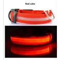thumbnail image 2 of Collar Luz Led Para Perros Y Gatos Paseo Nocturno (10 Pzs), 2 of 5