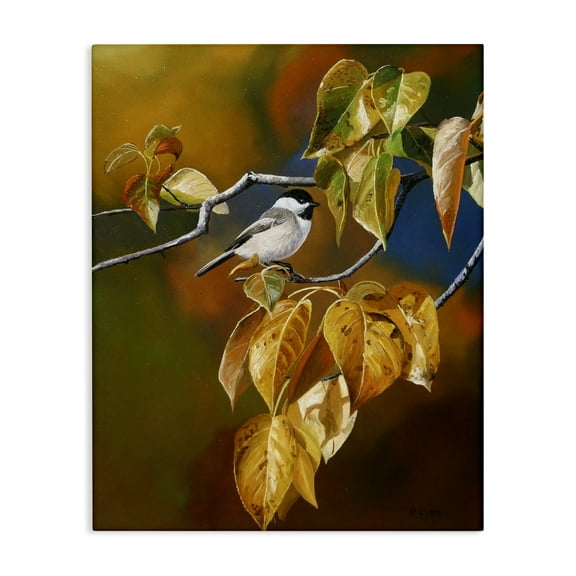 Stupell Industries Chickadee on Branch Animals Painting Wrapped Canvas Art Print Wall Art, 16 x 20