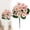 C, variant on Artificial Geraniums Outdoor, Silk Hibiscus Flowers UV Resistant, Faux Flowers for Garden Planter, Patio Porch Front Door Decor, Summer Tropical Floral Arrangement for Outdoor, Home Garden Decor