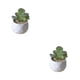 thumbnail image 1 of Billuyoard Simulación suculenta artificial Bonsai Flor falsa con suministros para macetas Type3 NO3, 1 of 6