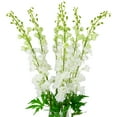 thumbnail image 6 of Northlight Real Touch™ White Delphinium Artificial Floral Stems, Set of 6 - 40", 6 of 9