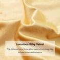 thumbnail image 4 of UlikTree Velvet Throw Pillow Covers 2 Pack - Soft Cushion Cover for Sofa Couch Decorative Square Pillowcase, Solid Modern Style Accent Pillows Covers with Zipper 22x22 Inches Gold, 4 of 7