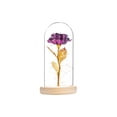 thumbnail image 1 of Eternal Rose Flower Rose Glass Dome Lámpara Led Decoración Para El Hogar Boda Navidad Día De San Valentín Methold HA027172-06, 1 of 5