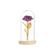 thumbnail image 1 of Eternal Rose Flower Rose Glass Dome Lámpara Led Decoración Para El Hogar Boda Navidad Día De San Valentín Methold HA027172-06, 1 of 5