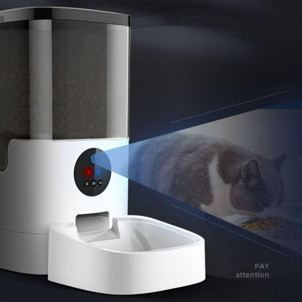Bluetooth cat feeder 2025