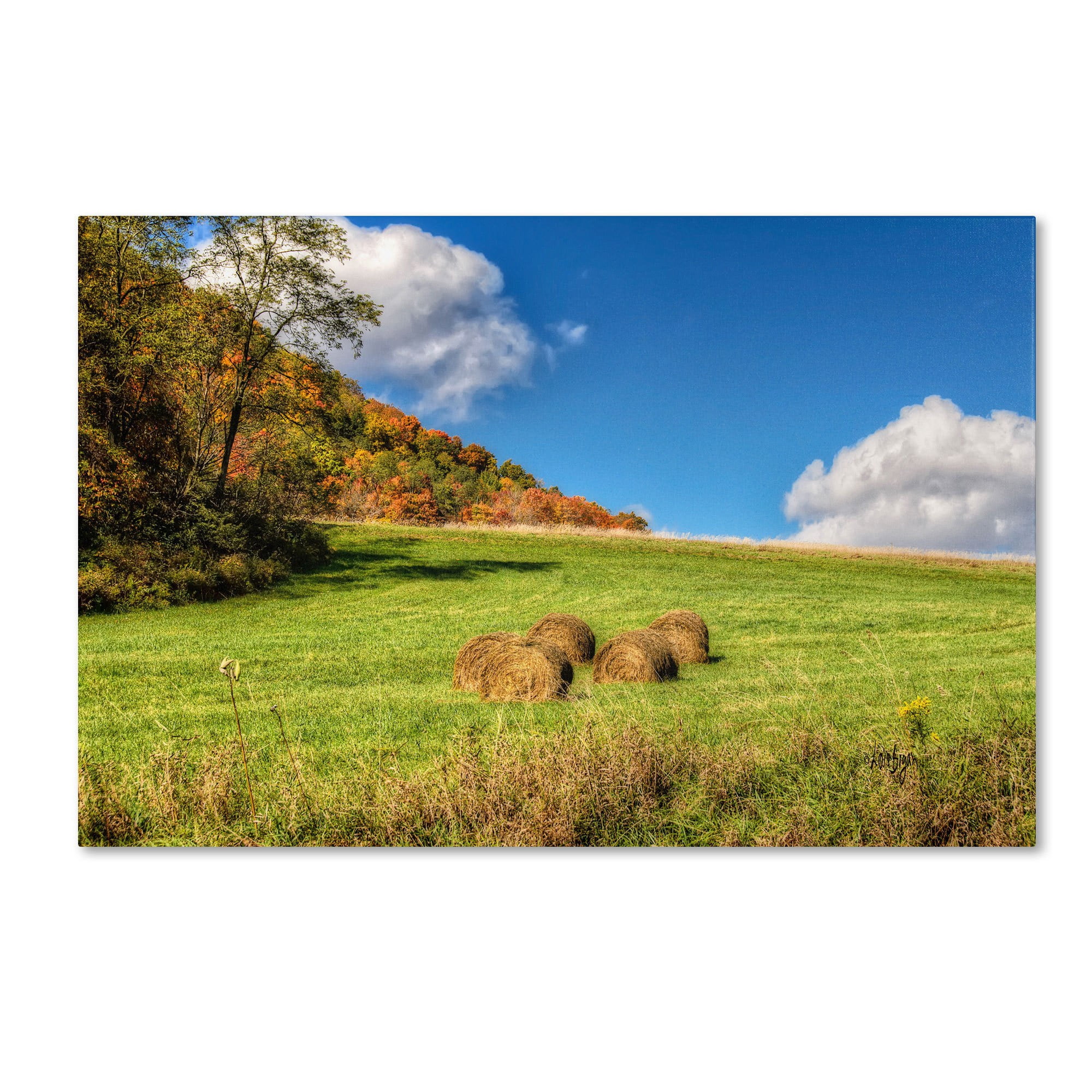 Trademark Fine Art "October Afternoon" Canvas Art by Lois Bryan