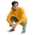 thumbnail image 5 of Hanes Unisex Adult EcoSmart Fleece Hoodie, Sizes XS-5XL, Big & Tall Sizes Available, 5 of 10