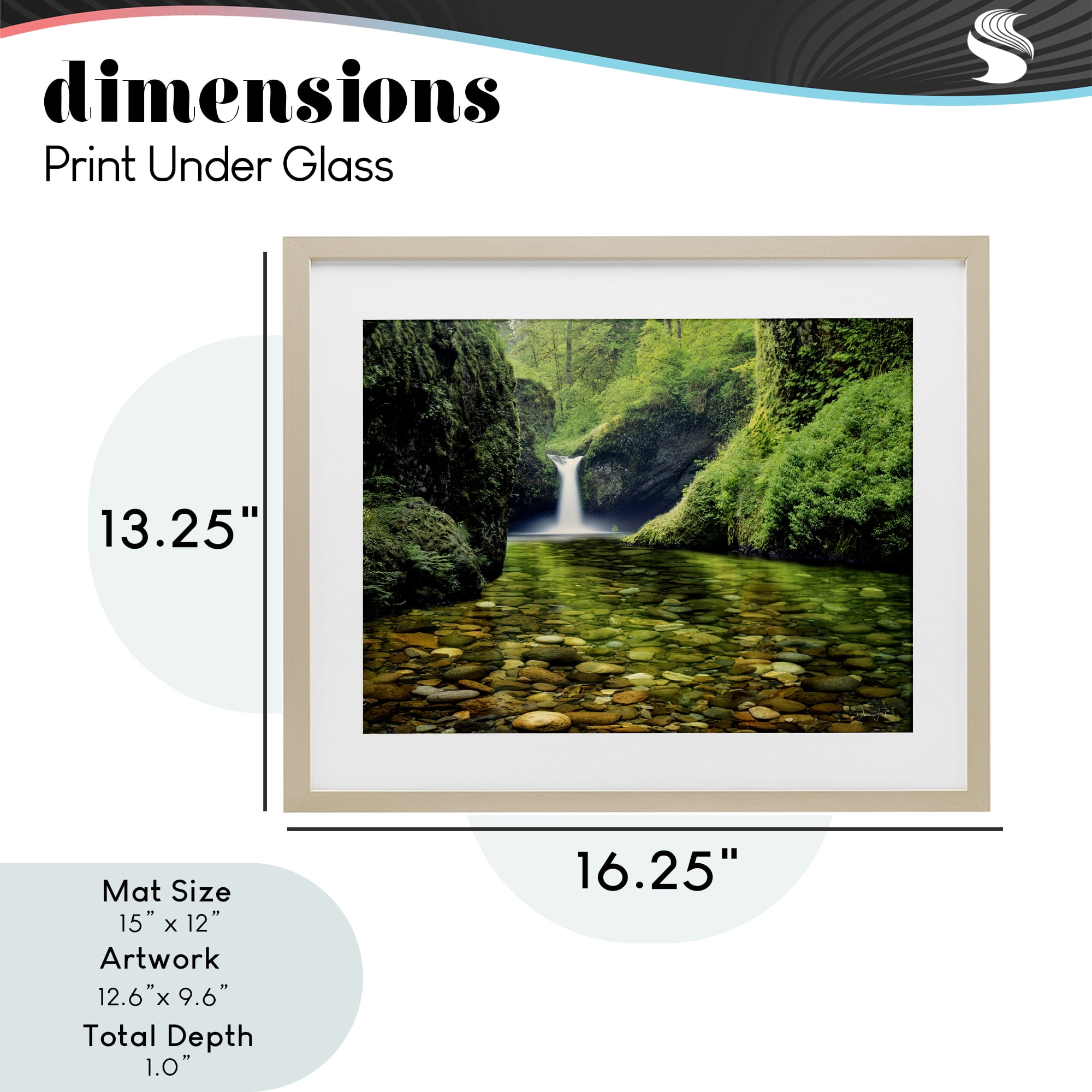 Stupell Industries Punchbowl Falls in Emerald Forest Birch Framed Print Under Glass, design by Dennis Frates
