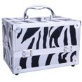 thumbnail image 3 of Ktaxon Profassional Makeup Train Case Aluminum Jewelry Storage Box Cosmetic Organizer, 3 of 9