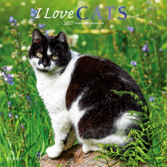 I Love Cats | 2027 12x24" (Hanging) Wall Calendar | Foil Stamped Cover | Plato