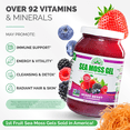 thumbnail image 2 of Irish Sea Moss Gel (Mixed Berry) - LARGE 16 OZ - Real Fruit - Wildcrafted Sea Moss, 2 of 7
