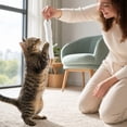 thumbnail image 3 of THOPBPRK Interactive Pet Tail Teaser Toy for Cats and Dogs, Fun Plush Animal Tail Toy for Play, Stimulation and Exercise Tool for Small and Large Pets, 1Pack Gray, 3 of 5