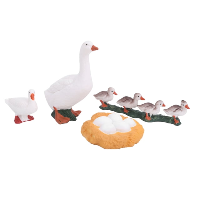 Growth Cycle Model Toy, ABS Growth Cycle Model, Safe Long-Lasting For Education Kids Playing Science Lessons