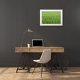 thumbnail image 3 of Flaherty, Dennis 24x17 White Modern Wood Framed Museum Art Print Titled - Japan, Nara, Heguri-cho Field of growing rice, 3 of 4