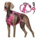 thumbnail image 1 of Pechera Arnés De Seguridad Para Perro Chico Mediano Y, 1 of 8