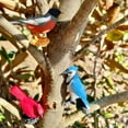 thumbnail image 6 of Safari Ltd. Backyard Birds Toob - Figurines: Woodpecker, Indigo Bunting, Robin, Oriole, Warbler, Cardinal, Blue Jay - Educational Toy Figures For Boys, Girls & Kids Ages 3+, 6 of 7