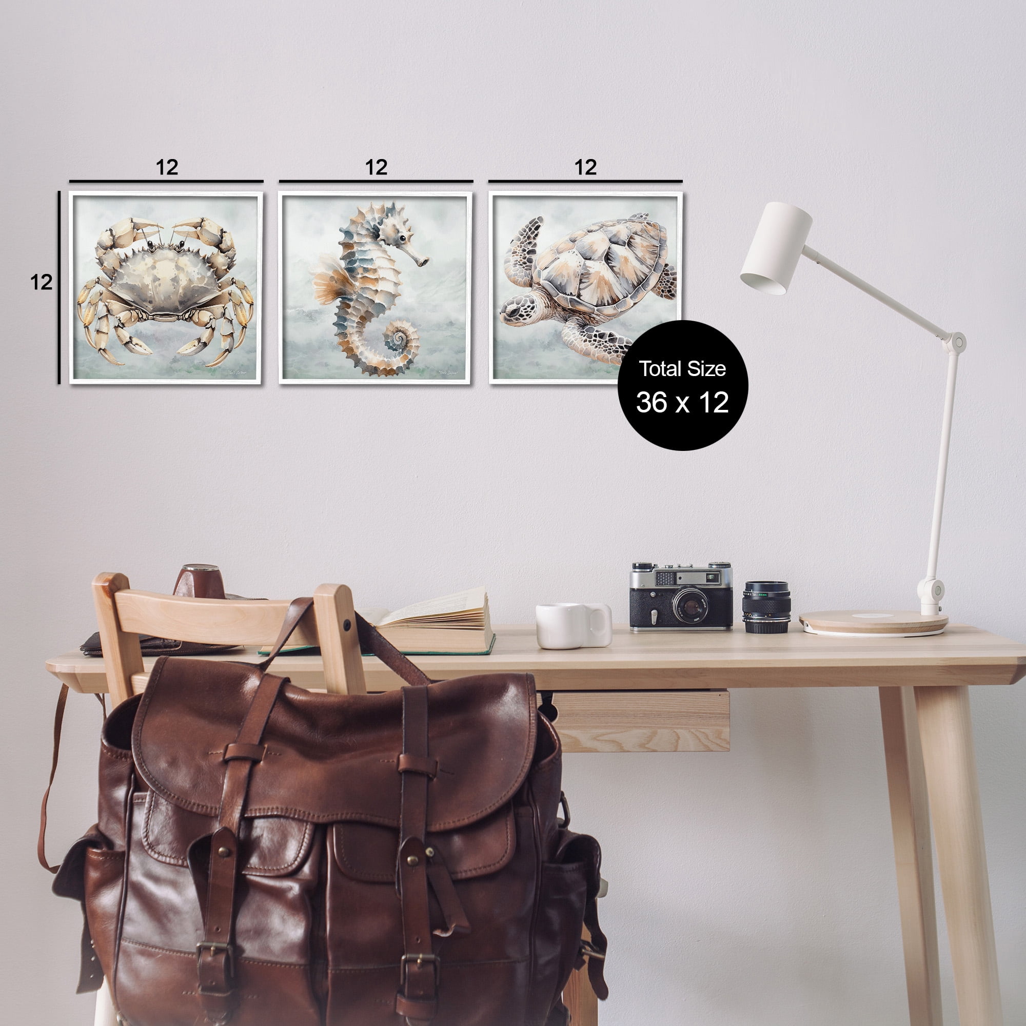 Stupell Industries Traditional Marine Life Animals & Insects Painting White Framed Art Print Wall Art, 12 x 12, Set of 3