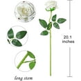 thumbnail image 2 of Zukuco 12 PCS Rose Artificial Flowers, Fake Roses Realistic Silk Roses with Single Stems, Faux Roses Bouquet for Wedding Centerpieces Halloween Party Home Table Decorations (White), 2 of 5