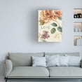 thumbnail image 2 of Trademark Fine Art "Spiced Nature VII" Canvas Art by Lisa Audit, 2 of 4