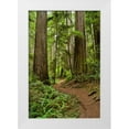 thumbnail image 3 of Brian Moore 4x24 White Modern Wood Framed Wall Art Titled - Hiking Trail I, 3 of 5