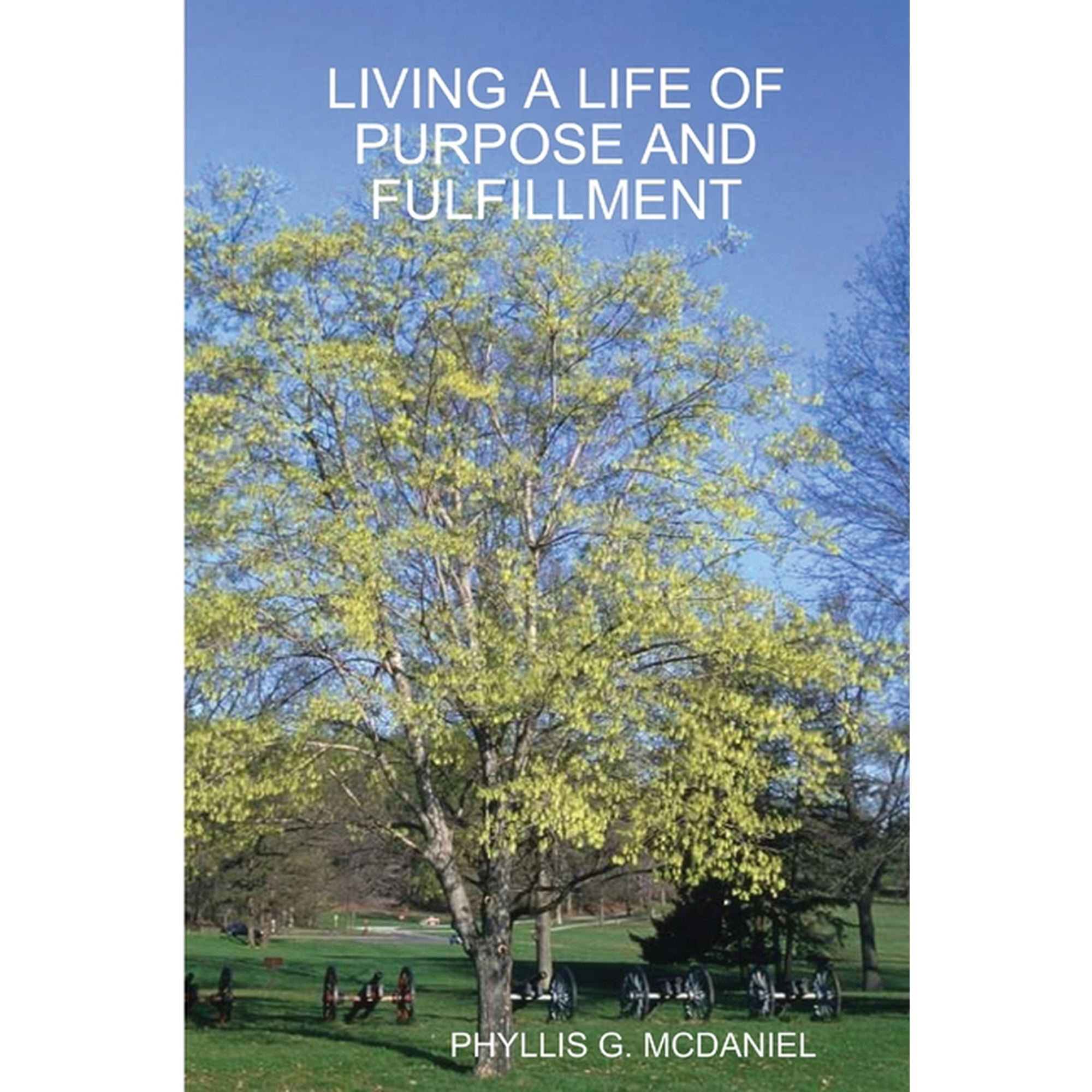 Living a Life of Purpose and Fulfillment (Paperback)