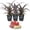 3 Plants, variant on Cathy Ornamental Pineapple Plant - 3 Live Starter Plants in 2 Inch Pots - Ananas Nanus - Non-Edible Ornamental Fruit Tree for The Patio and Garden