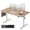 Maple, variant on DESINO 63x28 inch Electric Standing Desk, Height Adjustable Sit Stand Desk with Memory Presets, Ergonomic Home Office Computer Desk with Anti-Collision, White