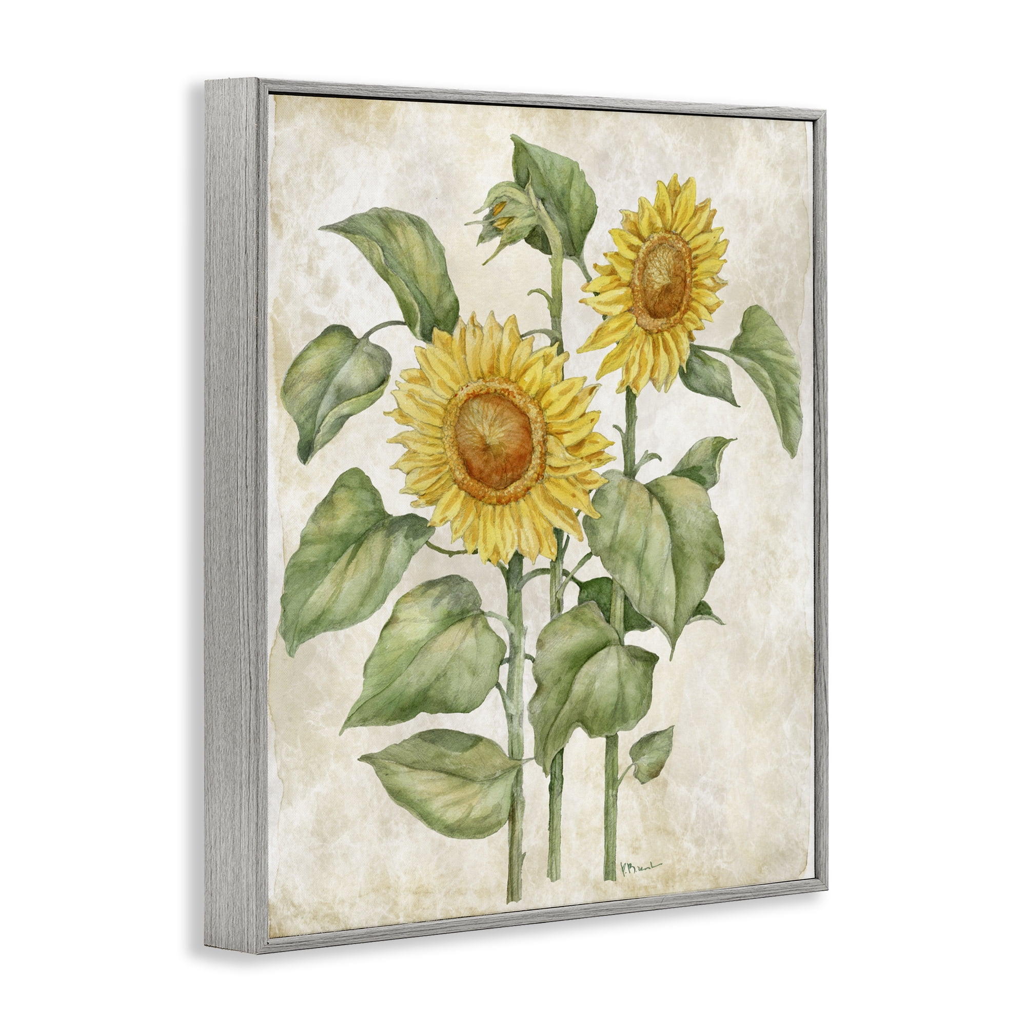 Stupell Industries Floral Journal Vintage Sunflower Gray Framed Giclee Art, design by Paul Brent