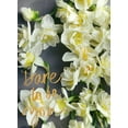 thumbnail image 2 of Gardner, Sarah 25x32 White Modern Wood Framed Museum Art Print Titled - Dare to be You, 2 of 4
