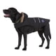 thumbnail image 4 of M Sudadera con capucha grande de algodón cálido para perros Suéter para mascotas Ropa Chaqueta para perros Abrigo Mono Disfraz, Negro, 4 of 5