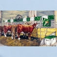 thumbnail image 2 of CafePress - Color Of Money Hereford Infant Bodysuit - Baby Light Bodysuit, Size Newborn - 24 Months, 2 of 4